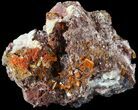 Wulfenite Crystal Cluster - Rowley Mine, AZ #49378-1